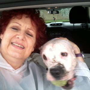 Fundraising Page: Cheryl Harris